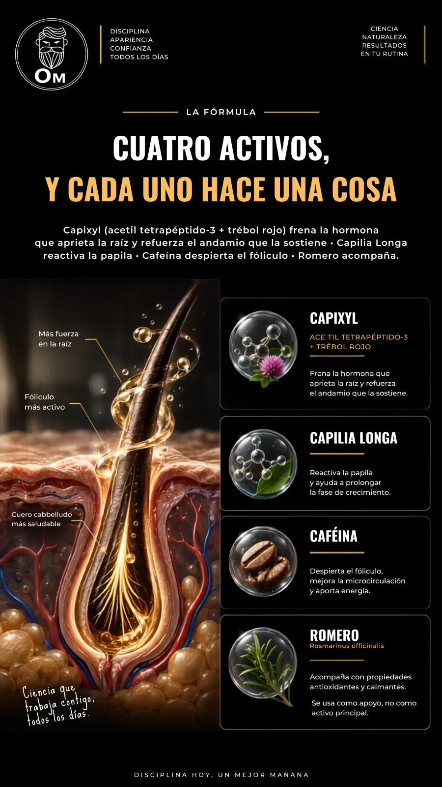 Producto